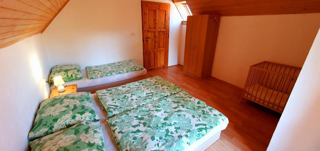 Vilka Cibulka A Chata Cesnacik Izipovce Ngoại thất bức ảnh